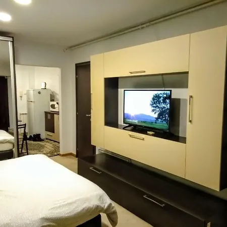 Cozy Downtown Oasis בוקרשט