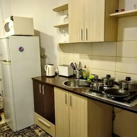 Cozy Downtown Oasis Appartement Boekarest