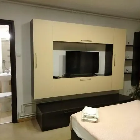 Appartement Cozy Downtown Oasis Boekarest
