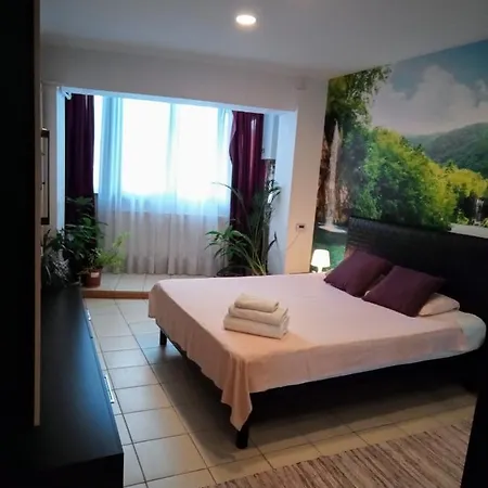 Cozy Downtown Oasis Apartment