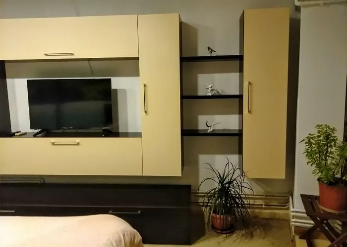 Apartamento Cozy Downtown Oasis Bucarest