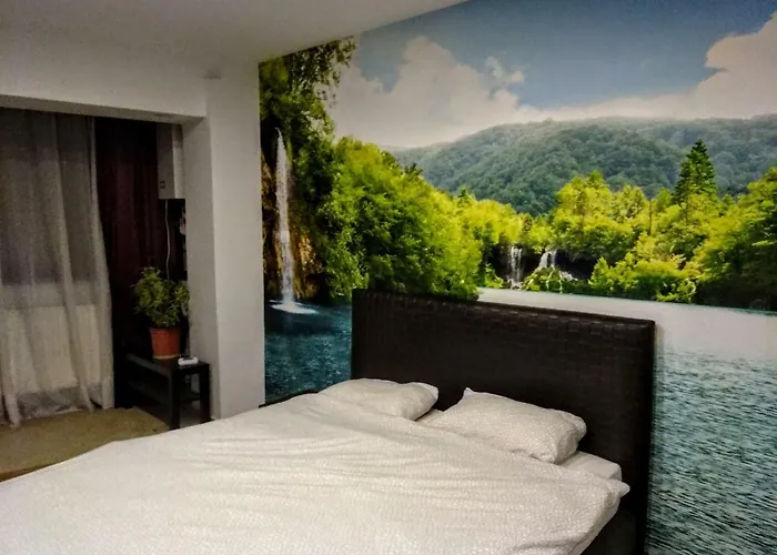 Cozy Downtown Oasis Bucureşti