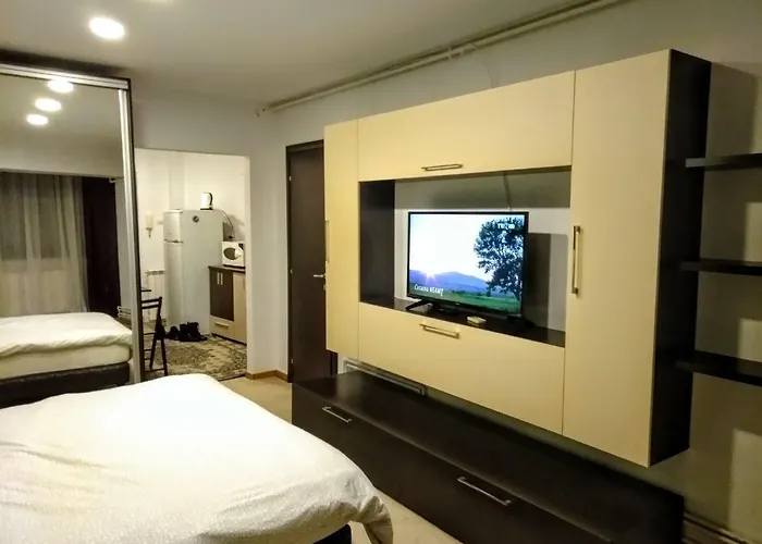 Cozy Downtown Oasis Bukarest