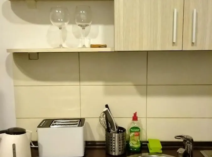 Apartament Cozy Downtown Oasis *