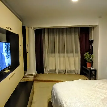 Cozy Downtown Oasis Bukarest