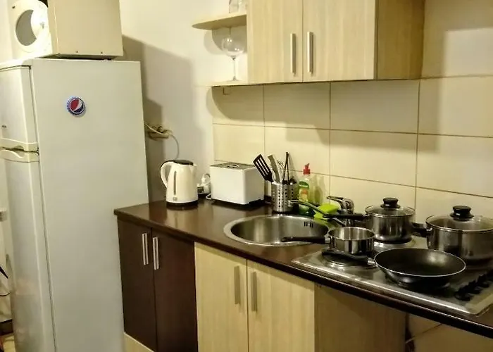 Cozy Downtown Oasis דירה בוקרשט