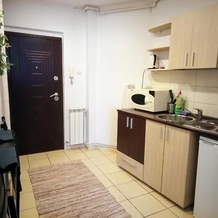 Daire Cozy Downtown Oasis
