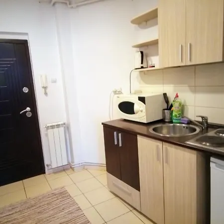 Daire Cozy Downtown Oasis Bükreş
