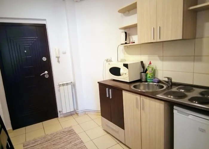 Daire Cozy Downtown Oasis Bükreş